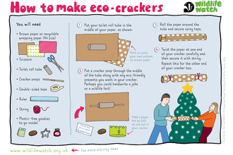 eco-crackers