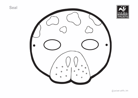 Seal mask template