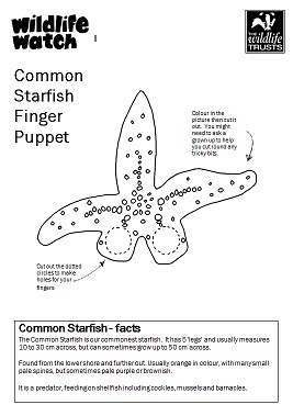 Starfish puppet template