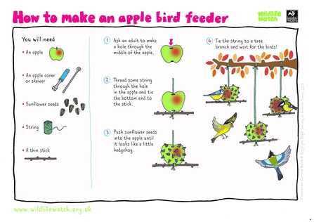 How to make an apple bird feeder