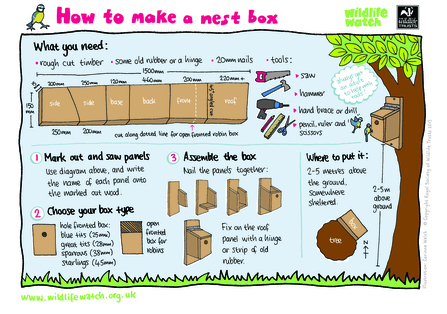 How to make a nest box