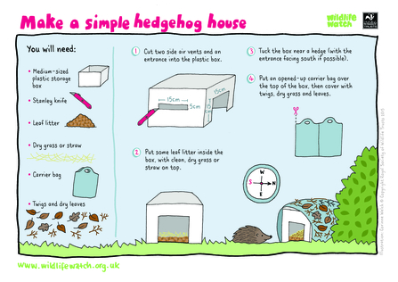 How to make a simple hedgehog home