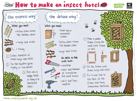 How to make an insect hotel