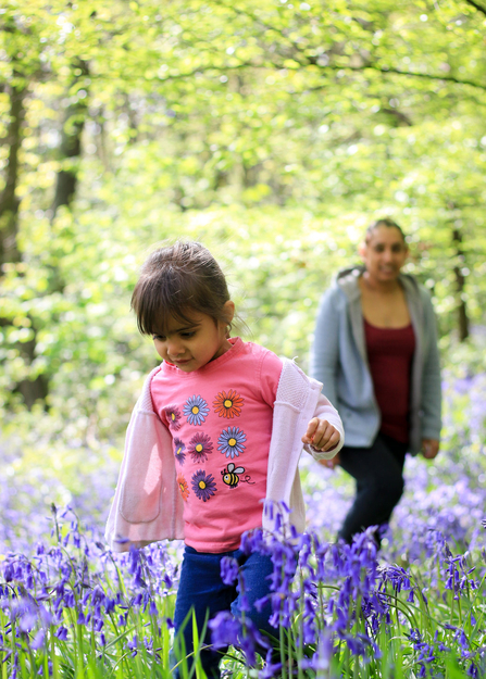 People and bluebells