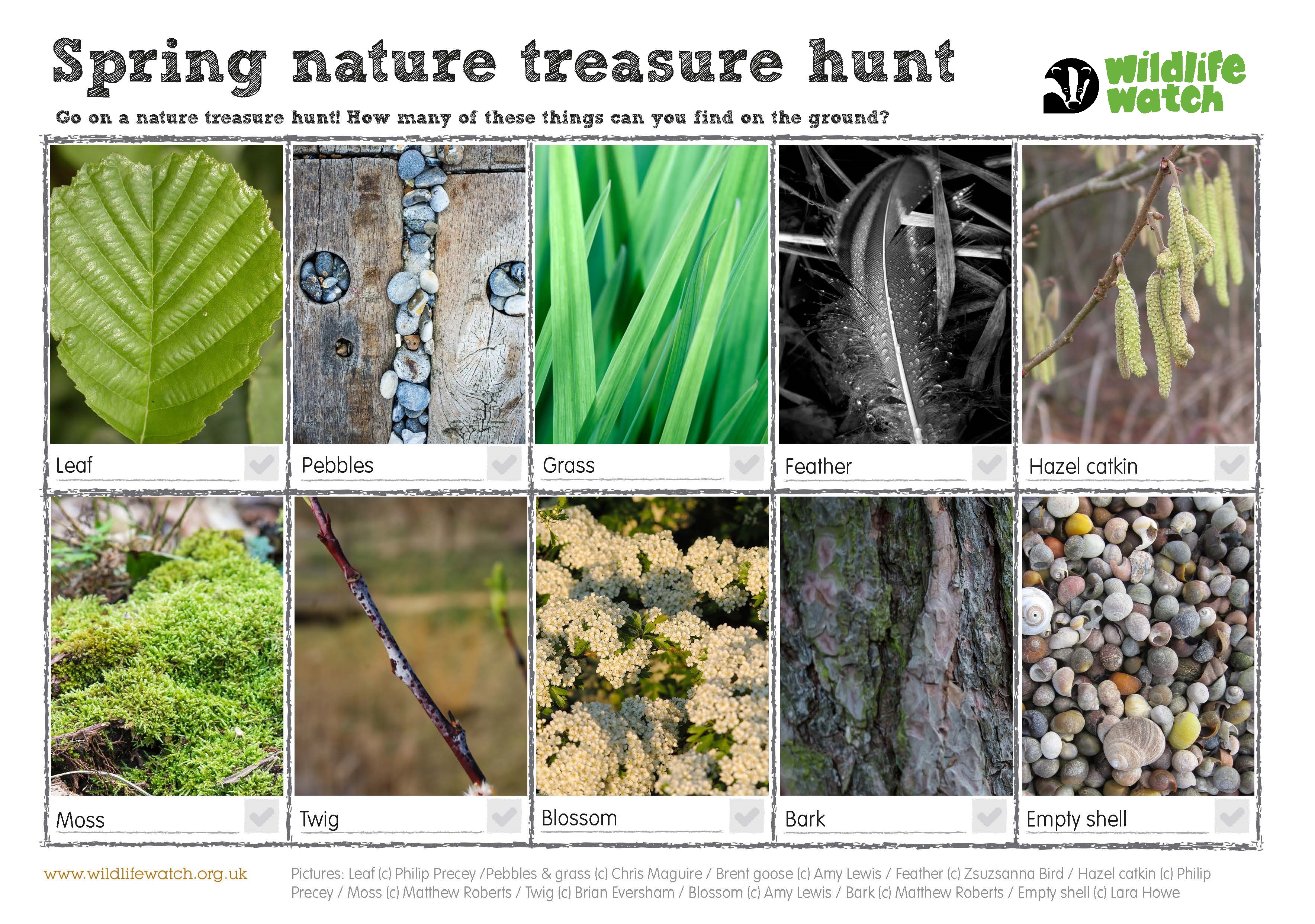 Nature treasures. Nature's Treasure. Spring Treasure 2022. Spring things. Natural Treasures speaking.