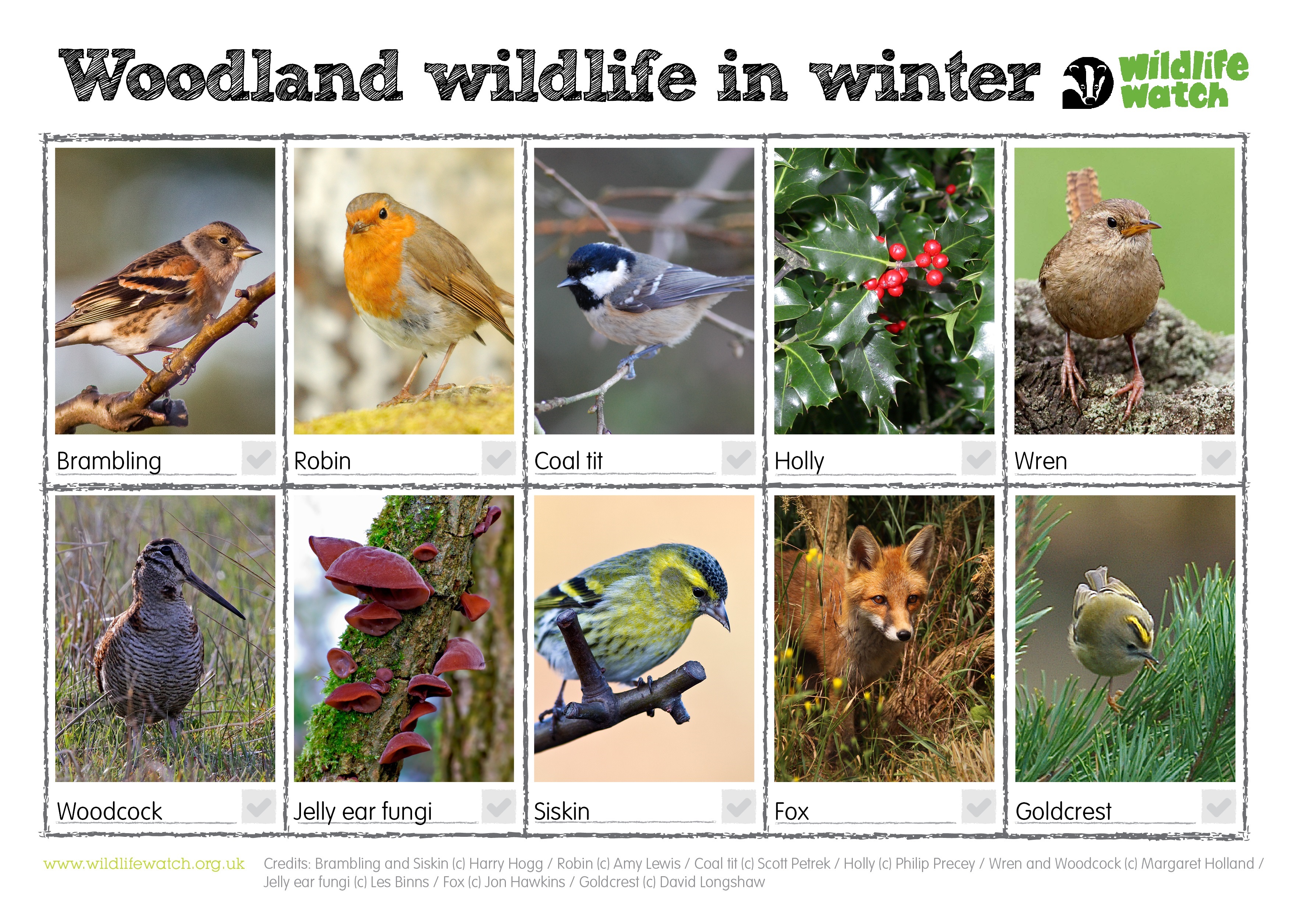 January Animals