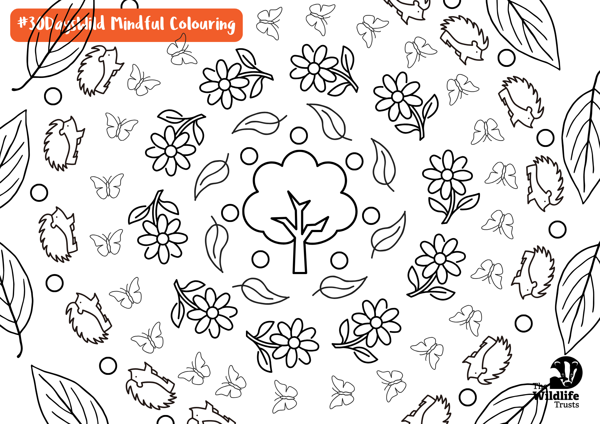 Mindful colouring