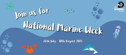 Join us for National Marine Week 2025
