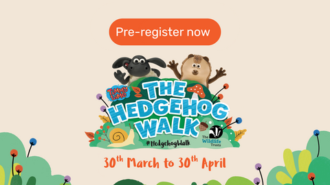 Timmy and his friend Apricot invite you to pre-register for the hedgehog walk