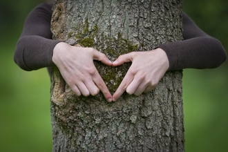 hands tree