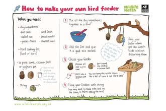 How to make a bird feeder