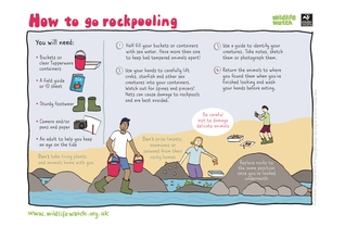 rockpool