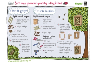 insect hotel