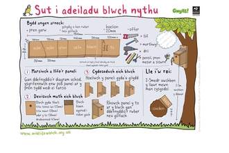 nest box welsh