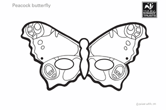 Butterfly mask