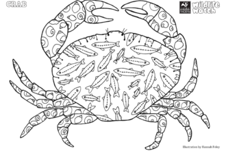 crab