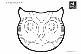 Owl mask