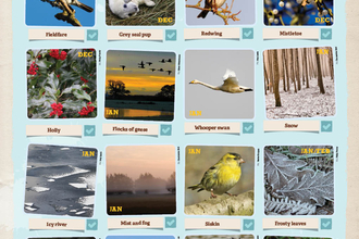 Winter wonders wallchart