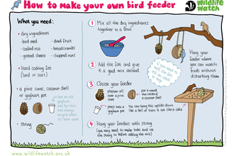 Make your own bird feeder