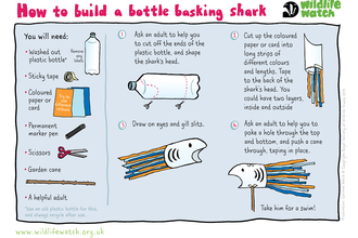 Bottle basking shark