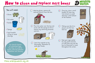 Clean nest box