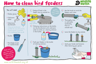 Cleaning bird feeders