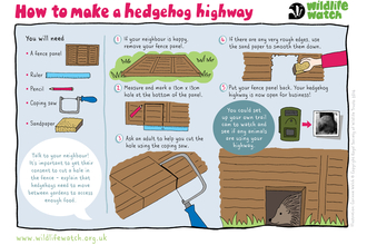 hedgehog highway