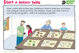 Nature table