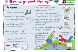 Pond dipping