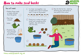 Seed bombs