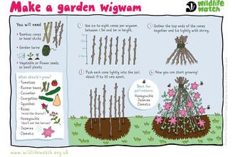 Wigwam for plants