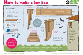 Bat box