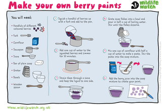 Berry paints
