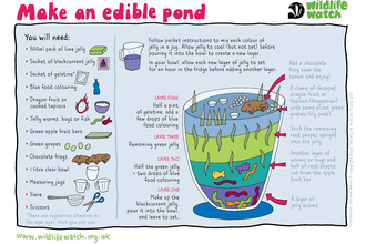 Edible pond