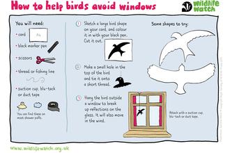 Help birds avoid windows