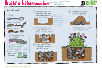 Hibernaculum