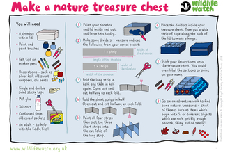 nature treasure chest