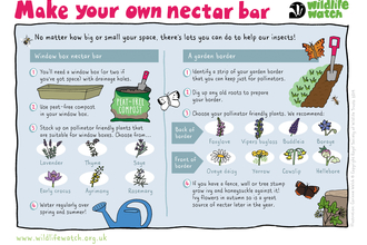 nectar bar