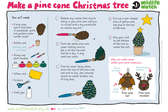 Pine cone tree