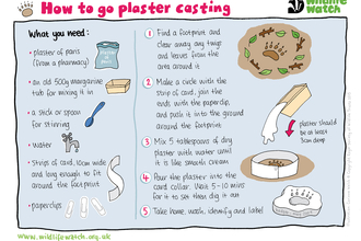 Plaster casting