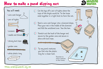 pond dipping net