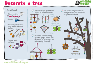 Decorate a tree