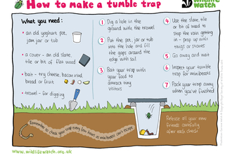 Tumble trap