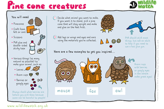 Pine cone creatures