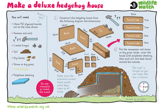 Deluxe hedgehog house