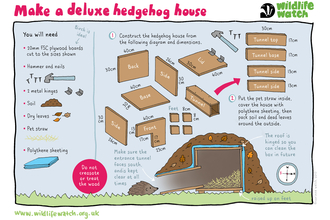 How to make a deluxe hedgehog house