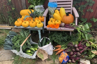 Fruit and veg in boxes surrounding a small table and chair. It's outside in front of a fence.