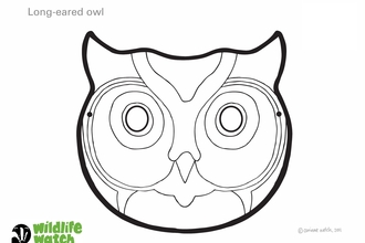 Owl mask