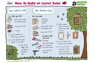 Insect hotel 