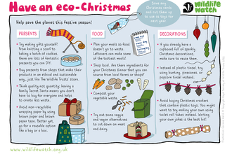 How to have an eco-Christmas